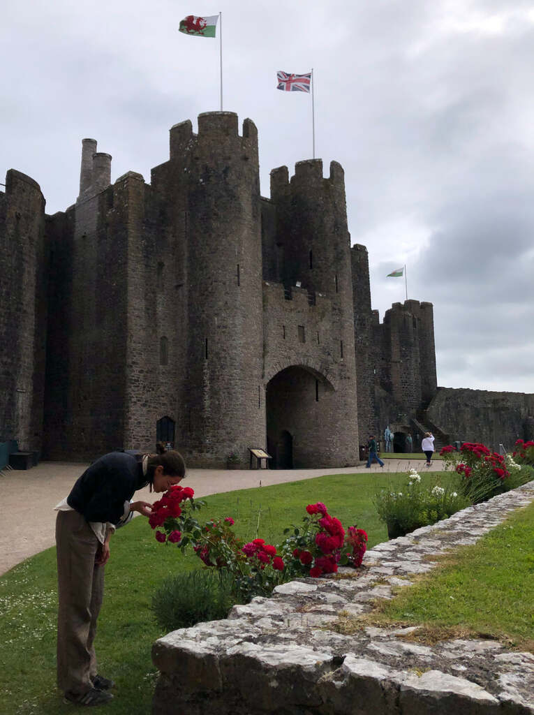 Kathi riecht an einer roten Rose, im Hintergrund eine mittelalterliche Burg mit flatternden Fahnen von Wales und UK