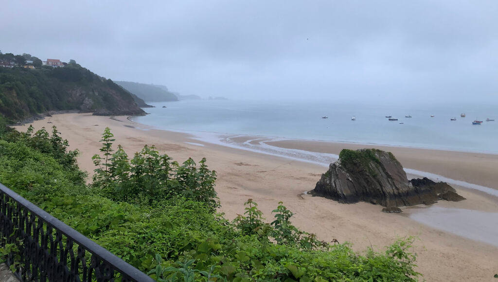 Ein Strand mit Klippen dahinter im Nebel