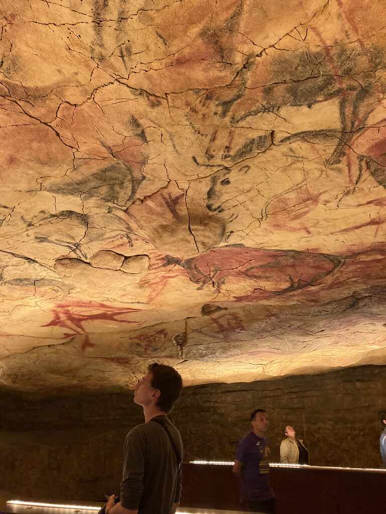 Eli steht unter einer niedrigen Decke und schaut nach oben auf die Höhlenmalereien