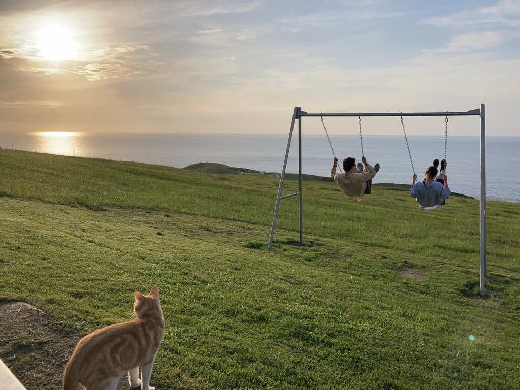 Kathi und Eli auf einer Schauel mit Blick aufs Meer, am unteren Bildrand eine rot getigerte Katze