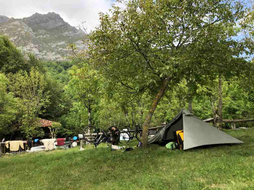 Zelt steht unter einem Walnussbaum, daneben Kathi die ihr Rad putzt
