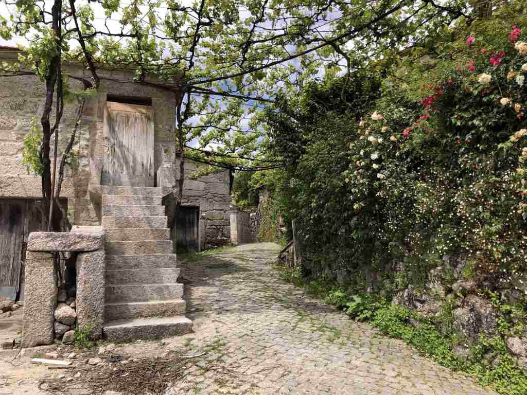 Steinhaus mit Treppe, Laube mit Weinreben, Steinmauer mit blühender Rose