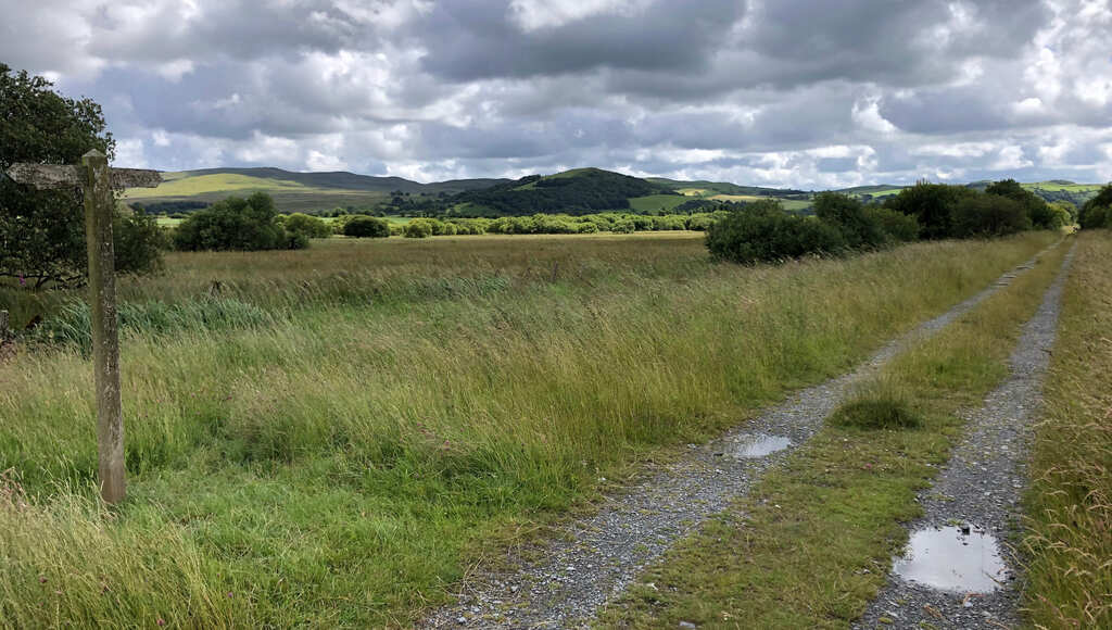 Ein Schotterweg führt durch Moorland, im Hintergrund kahle Hügel