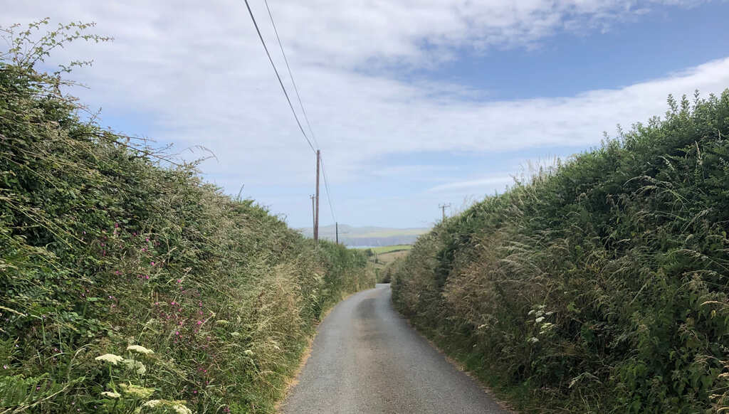 Eine Straße führt durch hohe Heckengasse, weit in der Ferne Meer und Klippen