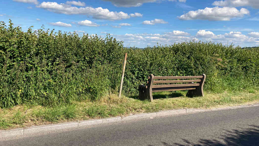 Eine Parkbank neben einer Straße direkt vor einer hohen Hecke