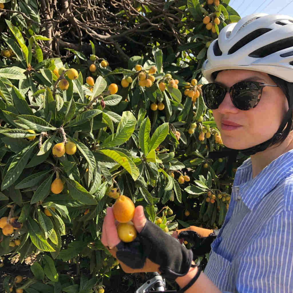 Kathi zeigt die Frucht einer japanischen Wollmispel