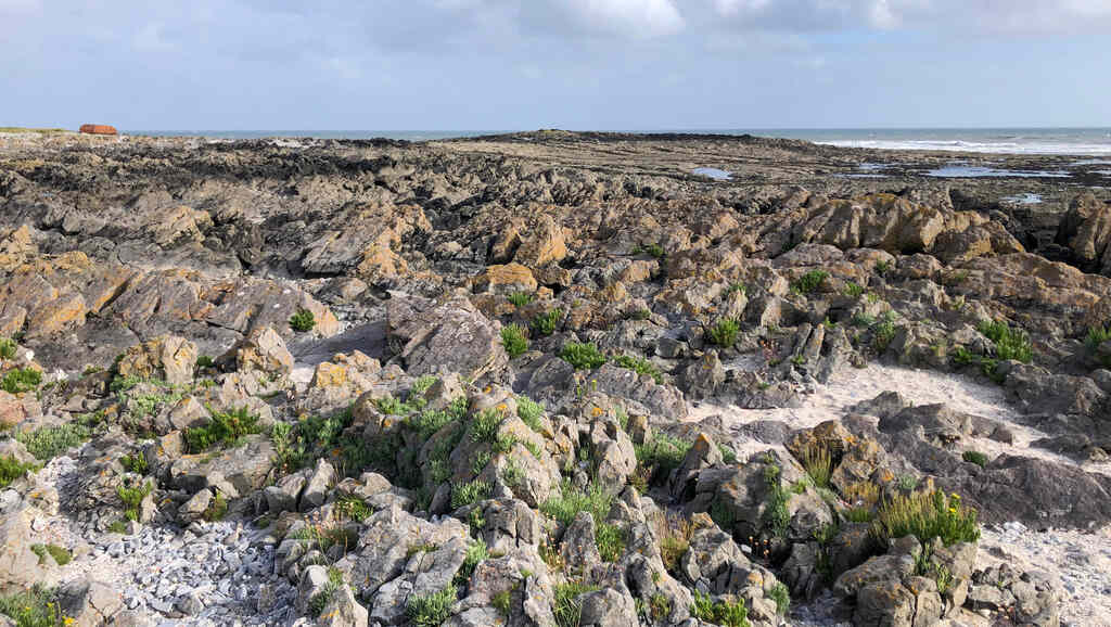 Eine flache zerklüftete Felslandschaft, dahinter das Meer und schäumende Wellen