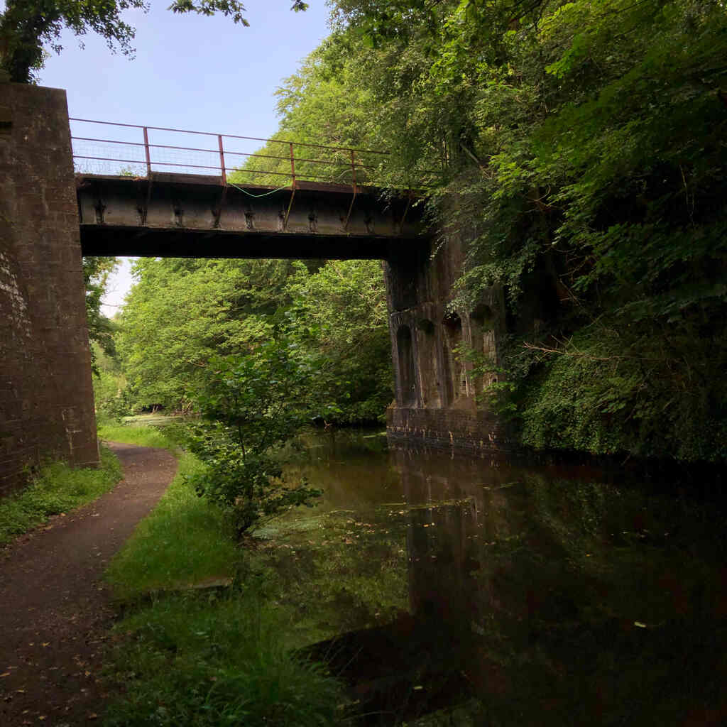 Eine Brücke führt über einen verwachsenen Kanal an dem ein Trampelpfad entlangführt