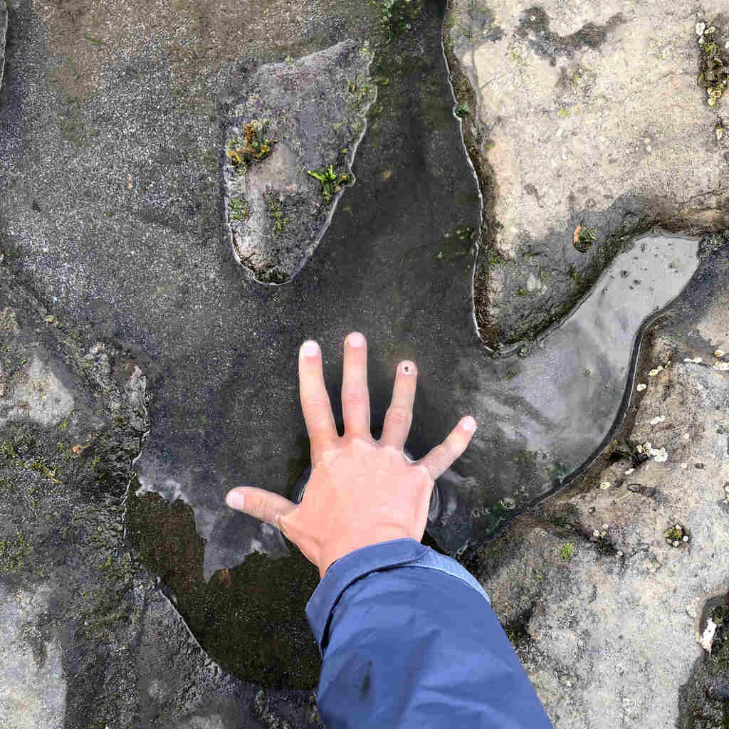 Elis Hand in einem versteinerten Krallenabdruck eines Dinosauriers