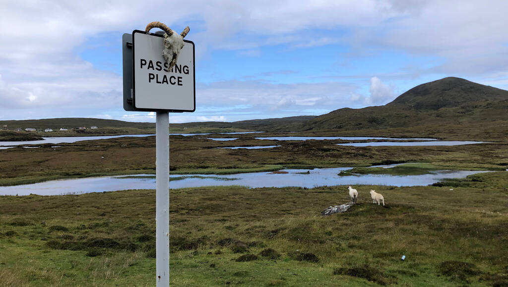 Ein Schild auf dem 'Passing Place' steht und der behornte Schädel eines Schafes hängt, im Hintergrund zwei Schafe in weitem Moor