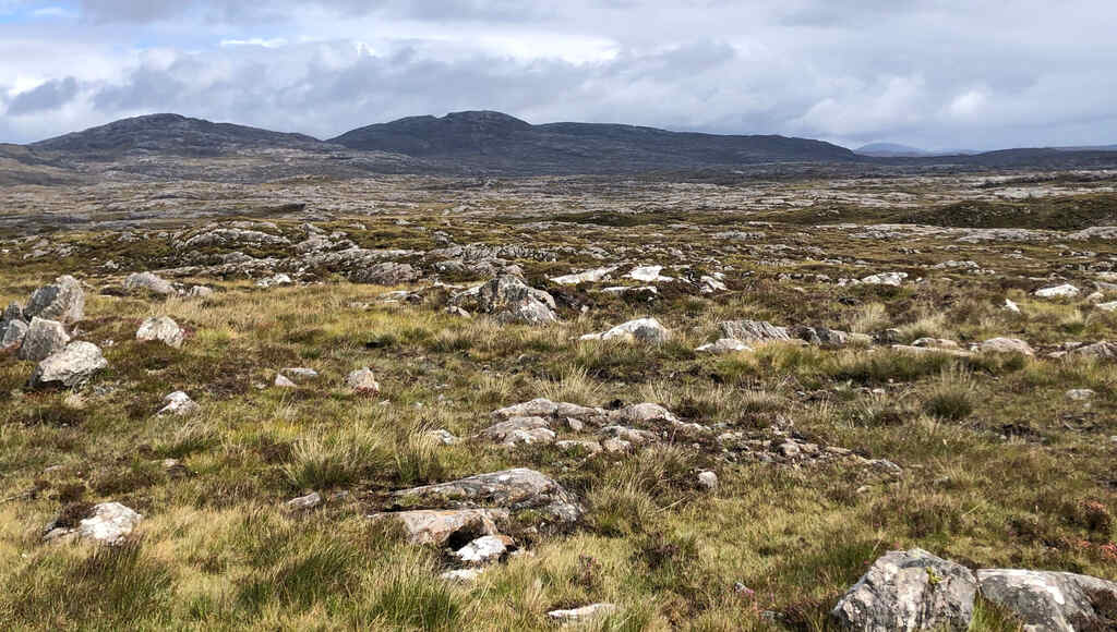 Weite Steinlandschaft durchzogen von braunen Grasbüscheln